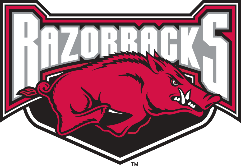 Arkansas Razorbacks 2001-2008 Alternate Logo v2 iron on transfers for T-shirts...